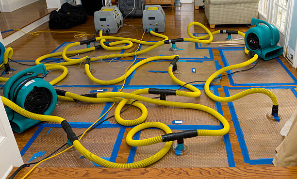 Professional Sewage Cleanup technician working in Livingston, CA
